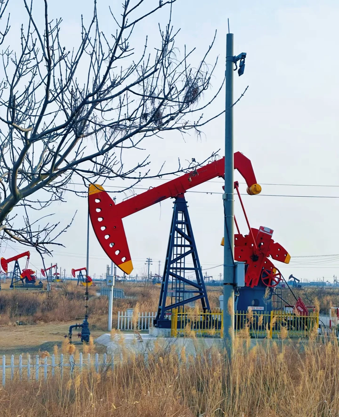 🌊东营！环华游开局，2天1夜只花100块