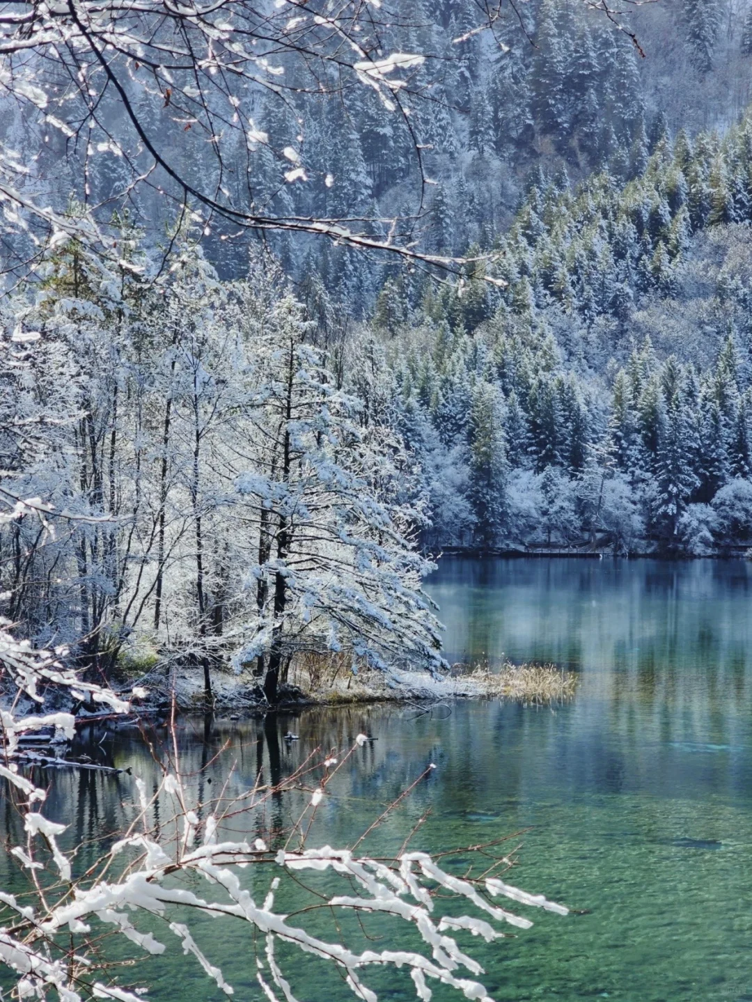 九寨沟冬季超全时间表❄️看完少走冤枉路😭