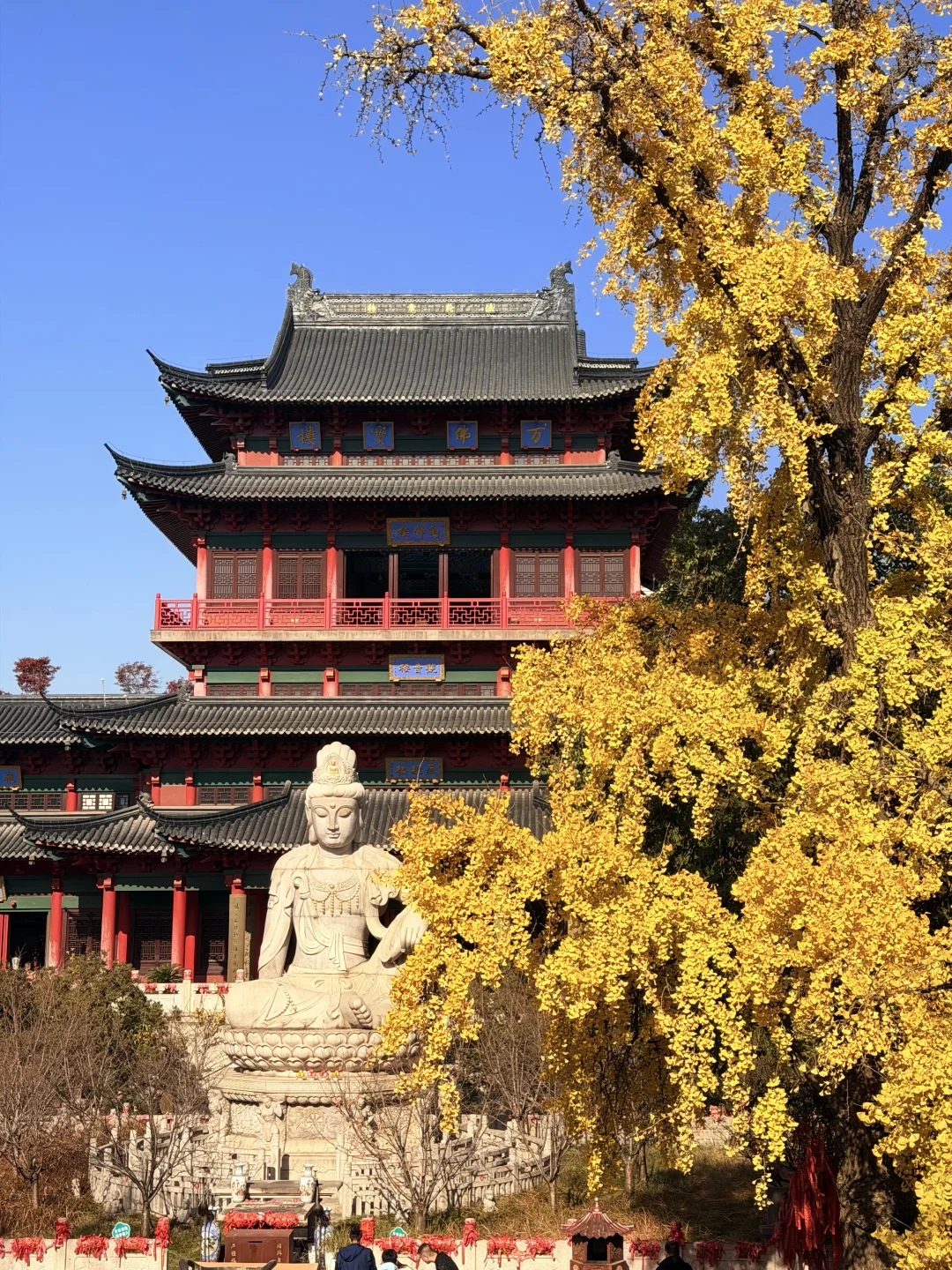 南京人带玩3天🍁附攻略🔥广东人哪见过深秋