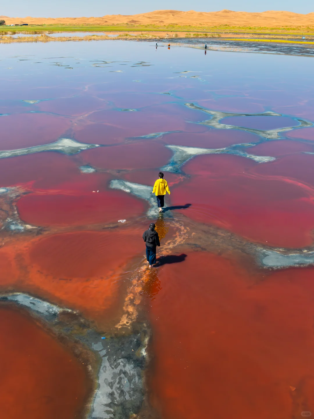 如果地球有心脏，那一定是在这里！