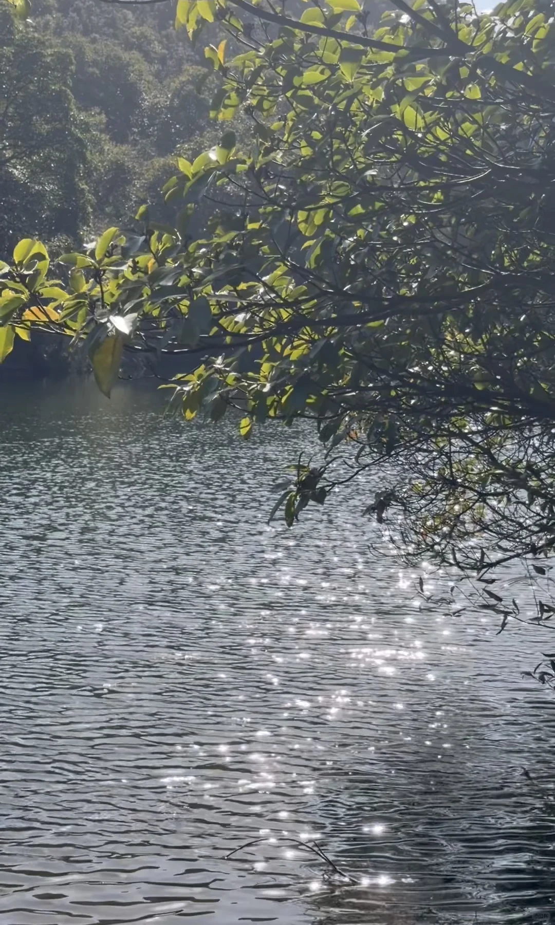 东钱湖福泉山大环线 去晚了
