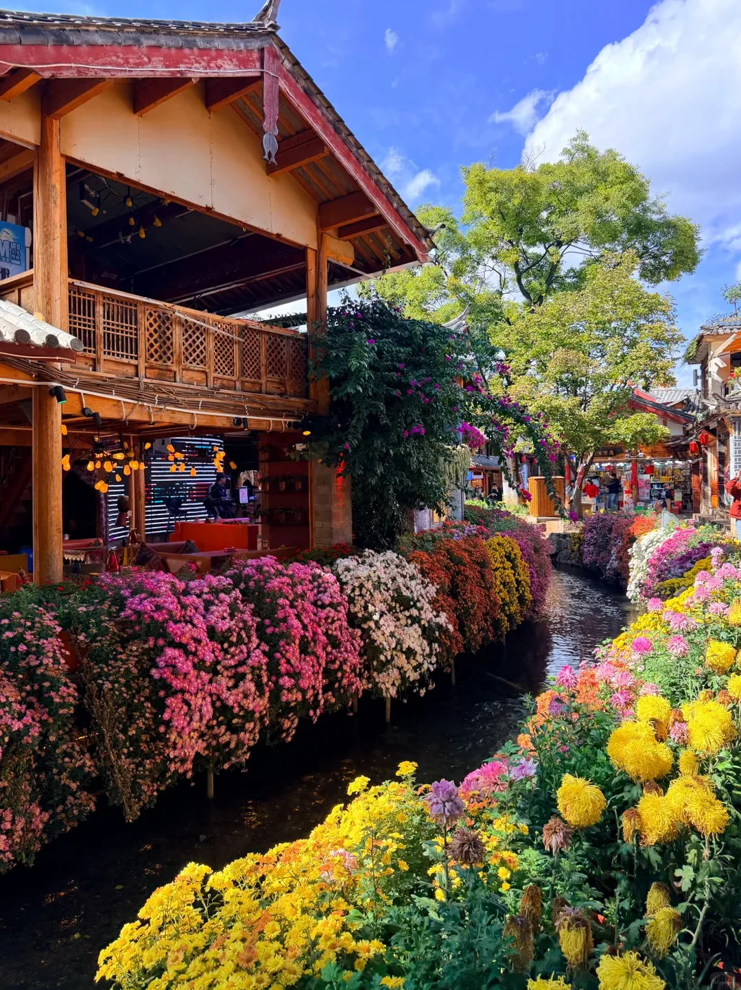 云南旅游攻略|12~2月出行保姆级指南✅