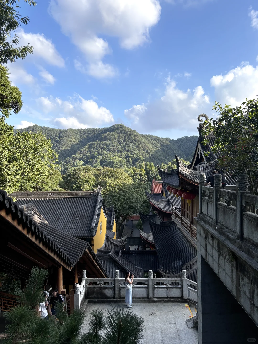 为了这1️⃣8️⃣张照片，特意去了一趟杭州…