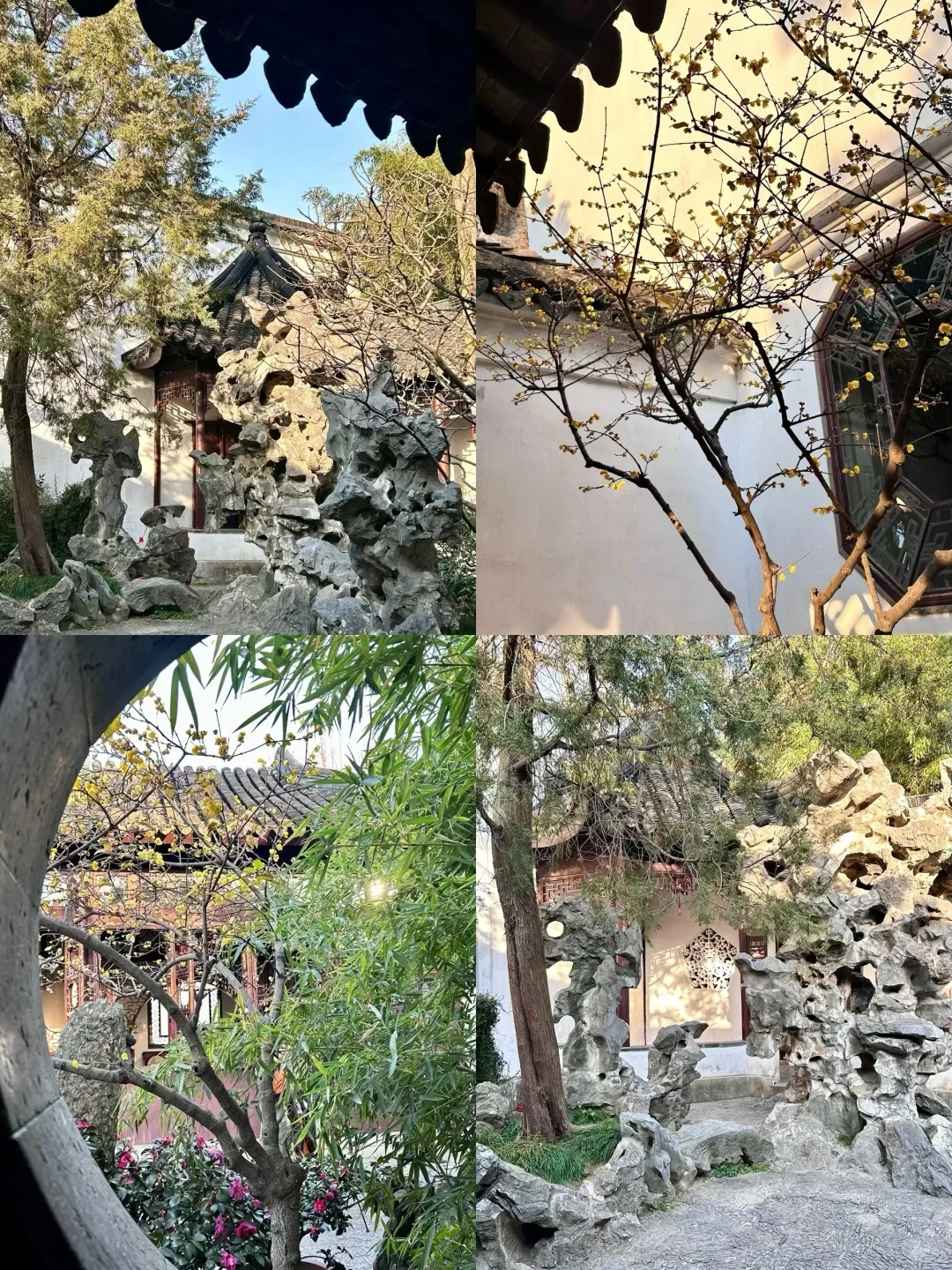 苏州两日游人均400💰精华版攻略(附文字版