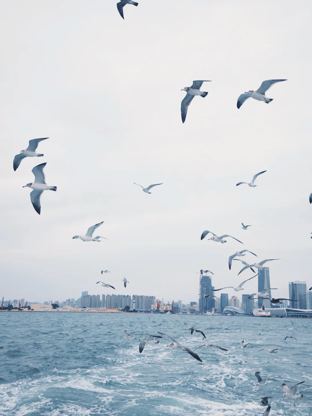 🌟青岛两日游攻略|现在就出发🌊