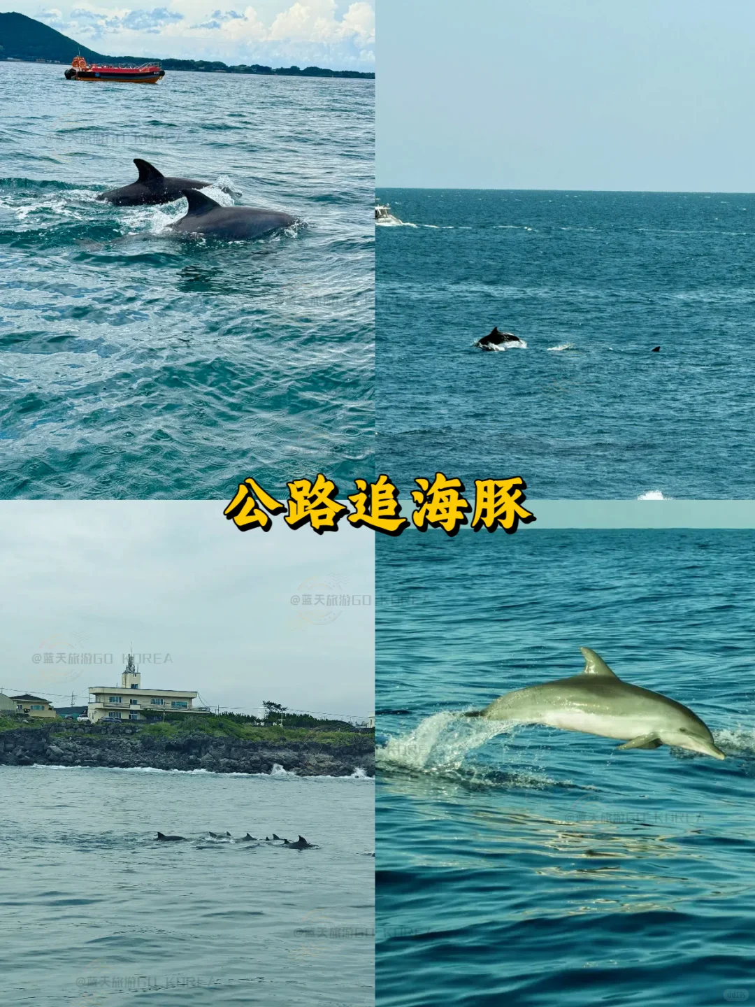 懒人必看❗️纯干货不绕路✅济州岛攻略