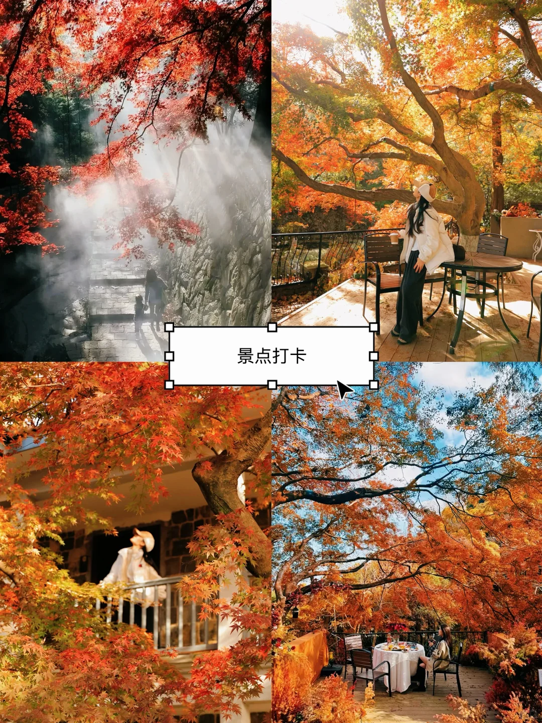 莫干山团建🔥江浙沪最新两天一夜团建方案🔥