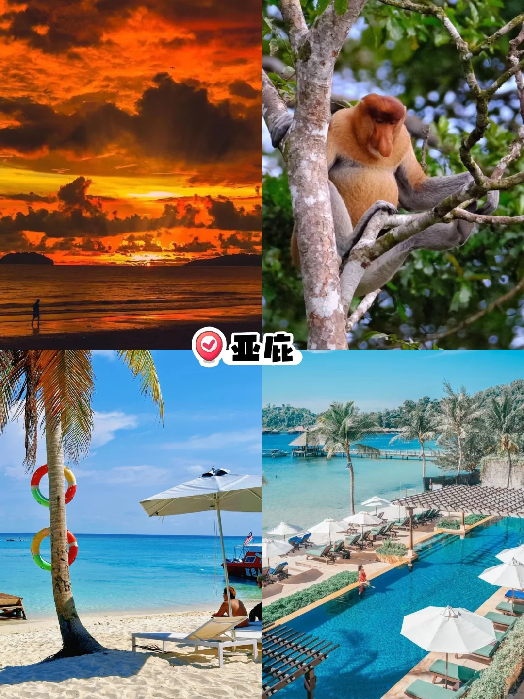 马来西亚旅游目的地怎么选？全方位对比