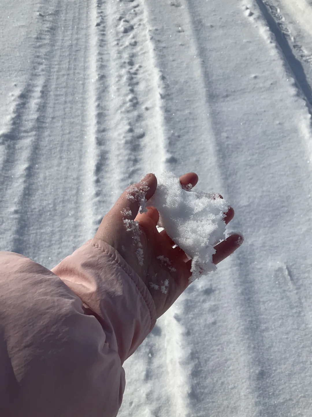 22岁自媒体第3️⃣天 | 我在新疆雪山上见天地