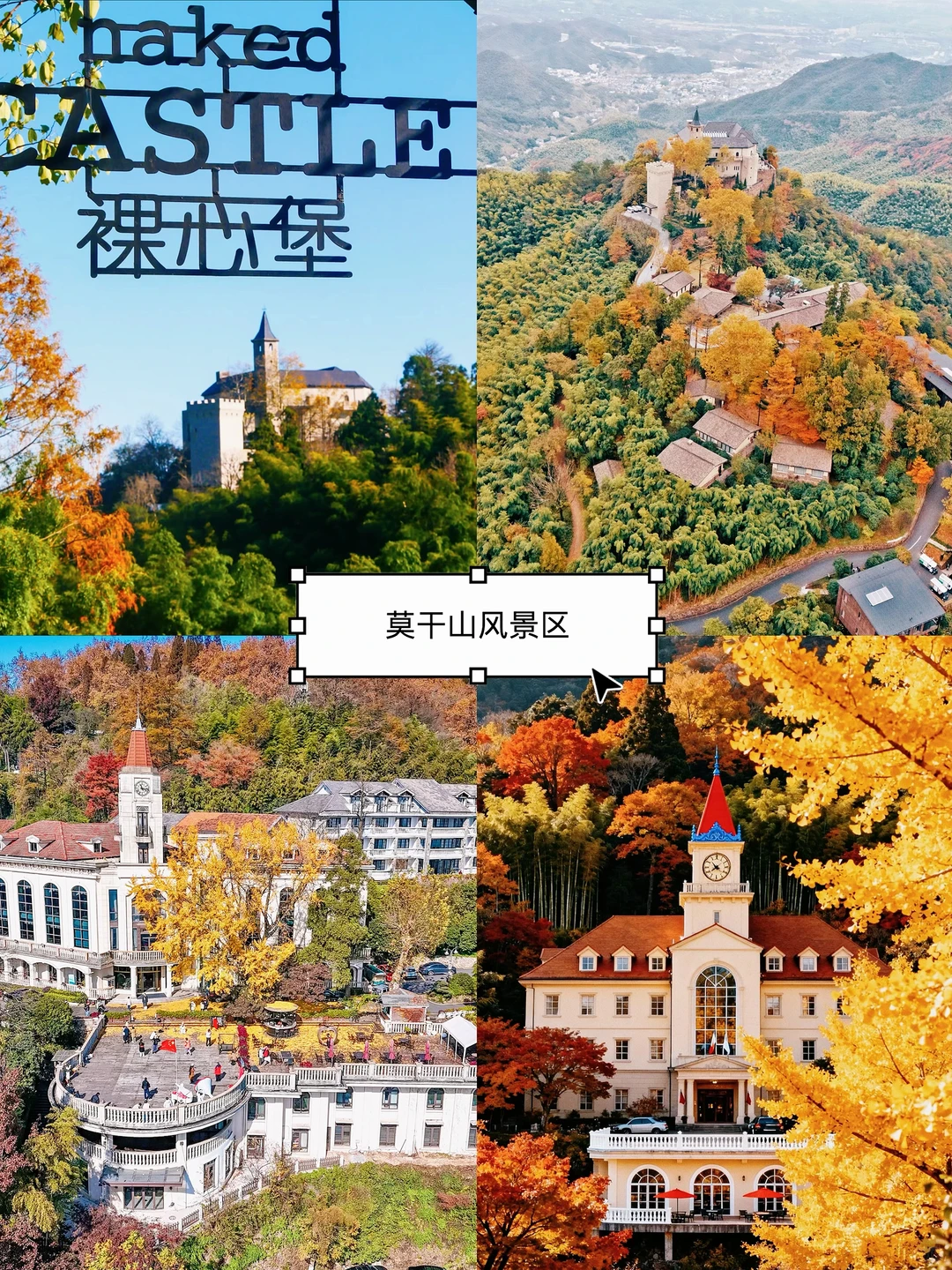 莫干山团建🔥江浙沪最新两天一夜团建方案🔥