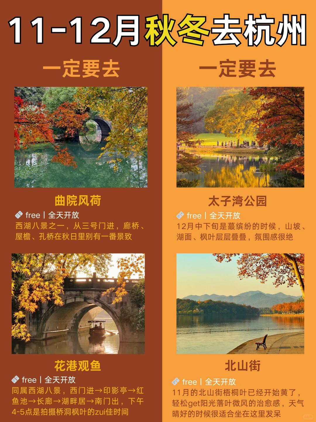 11-12月秋冬来杭州一定要去🆚考虑去