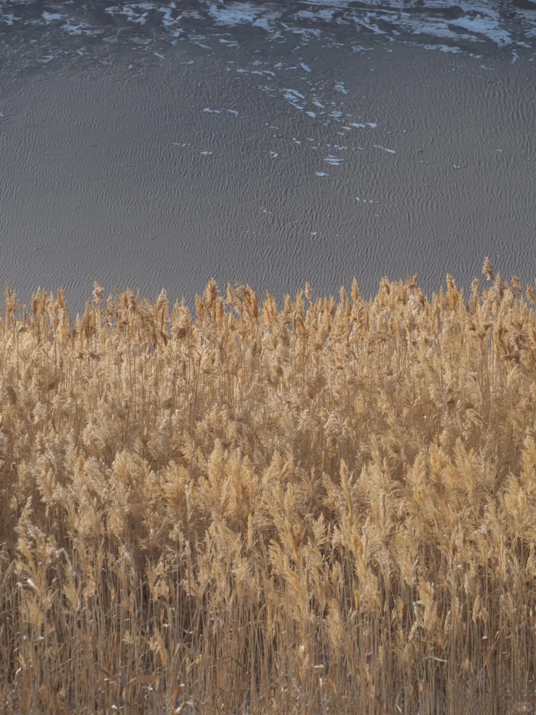 冬天去过敦煌后,才发现夏天去的真的血亏❗