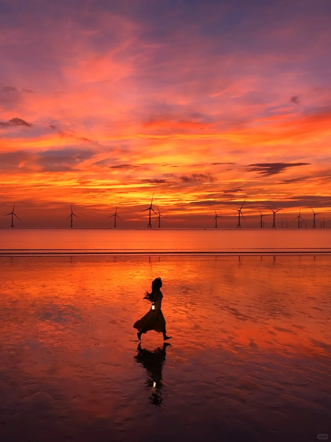 这辈子都舍不得删的live图🌿