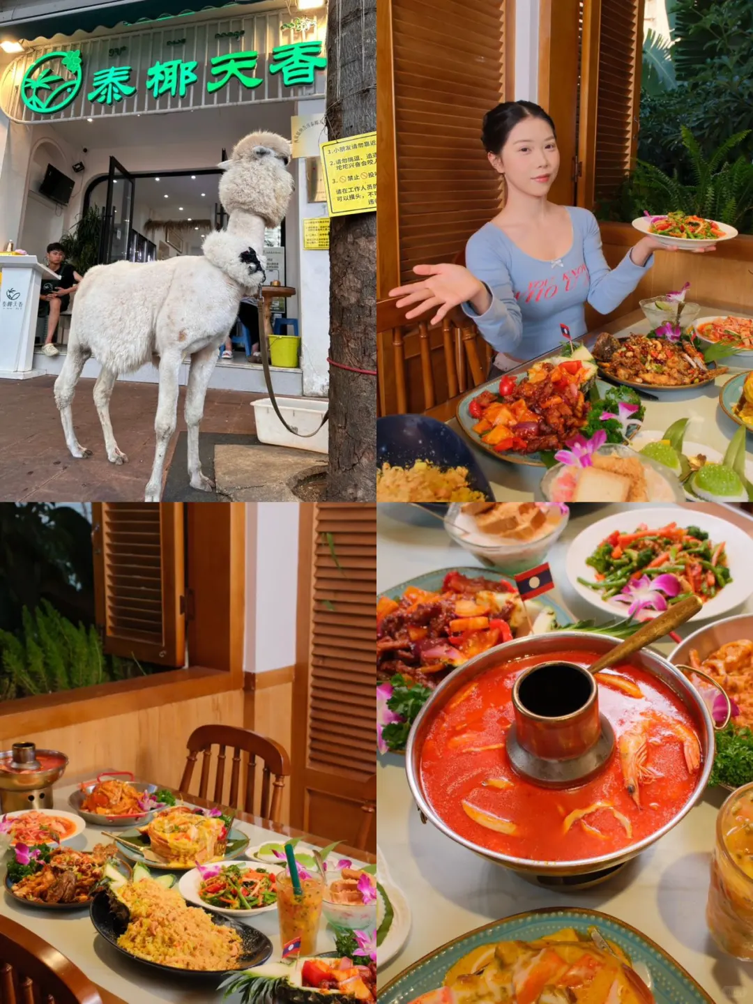 西双版纳旅游3日游保姆级攻略‼️纯手写✍