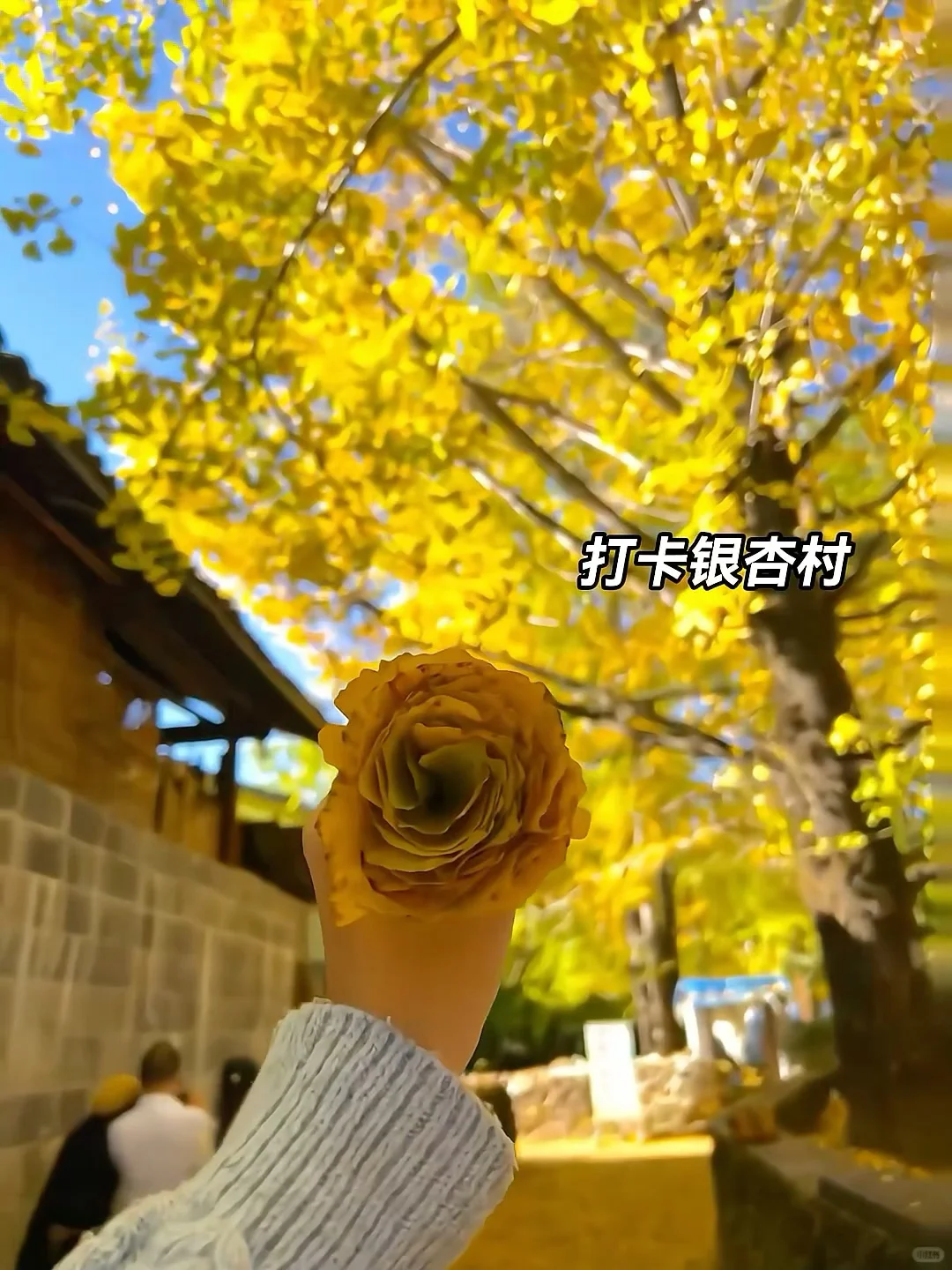 带爸妈去了24°C的腾冲，真的比巴厘岛还震撼！