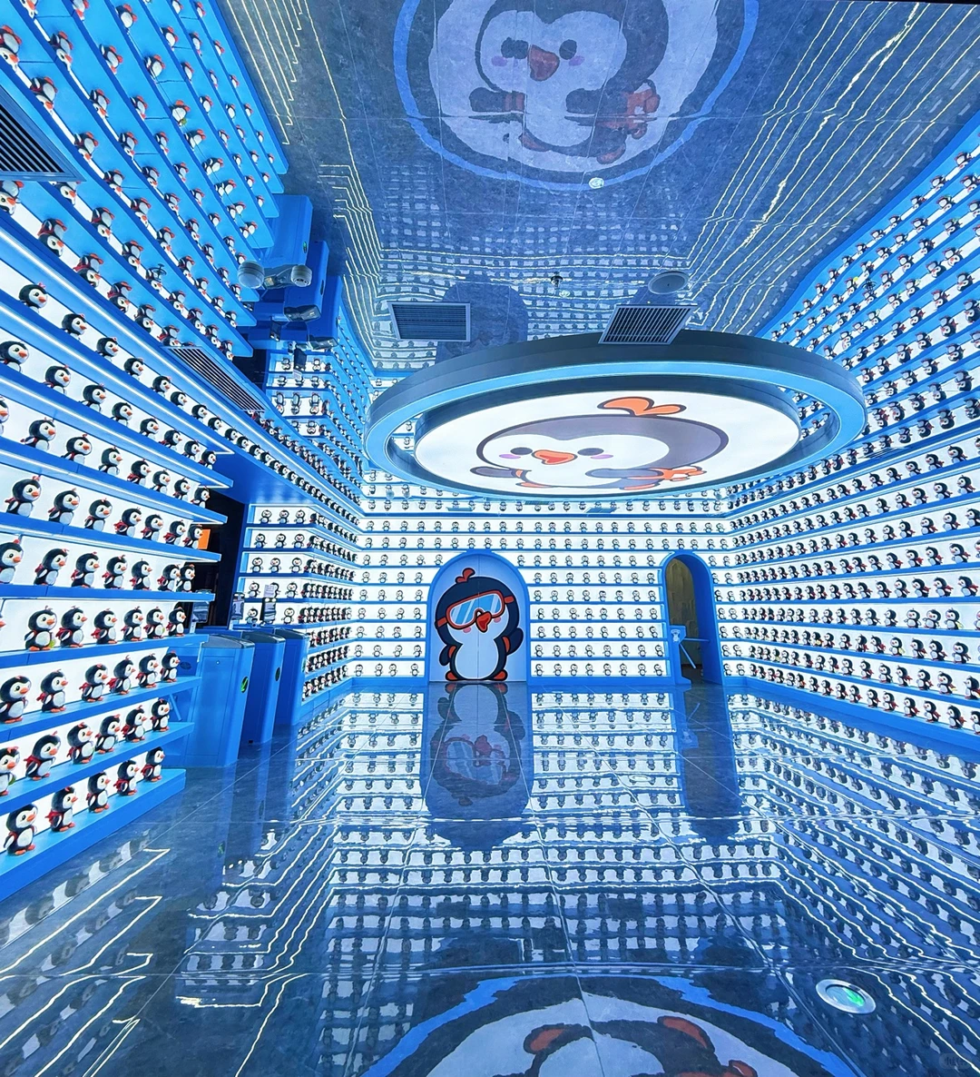 🐧哈尔滨极地公园顶流合集！一天玩够核心亮