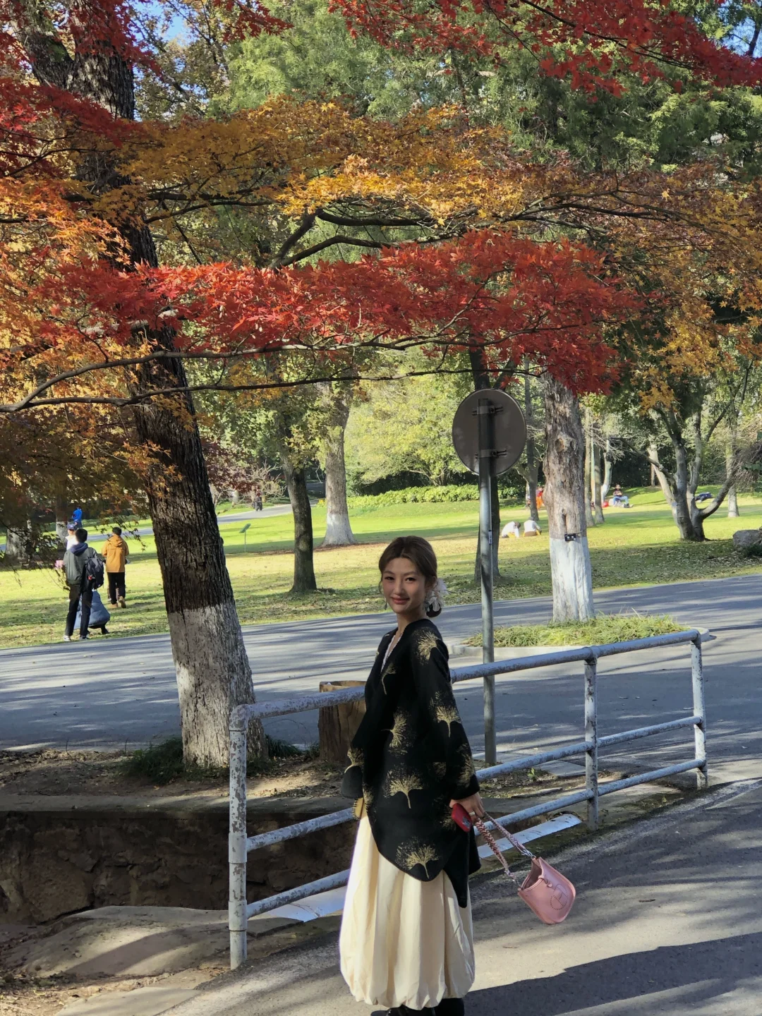 11.28实况！不在京都 在南京🍁枫叶美哭了🥹