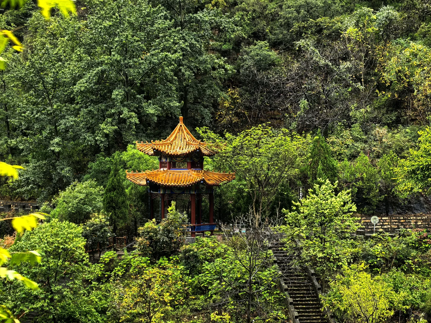 七步沟 | 雨后云雾是最好的滤镜