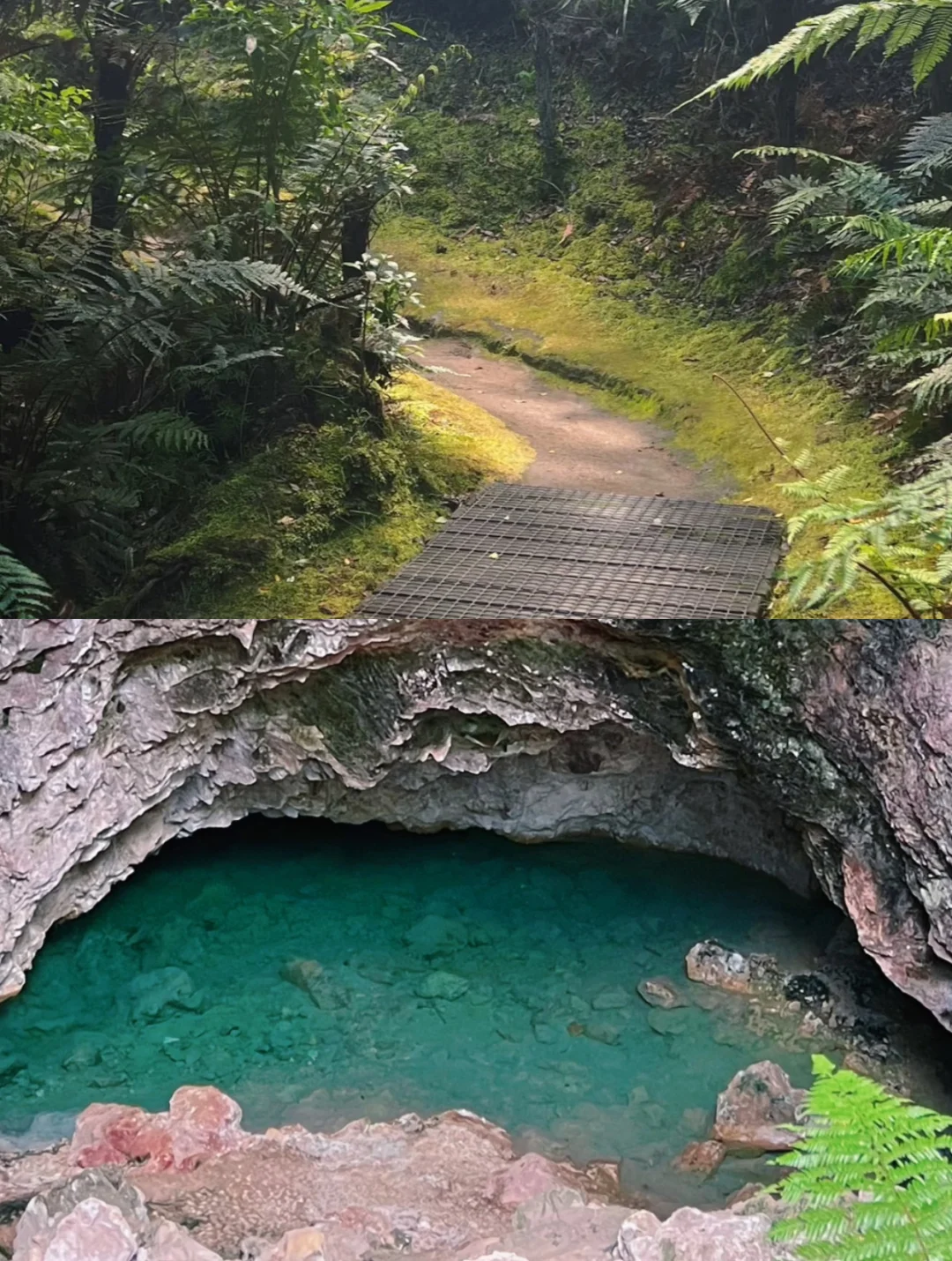 新西兰绝密仙境|乘船才能进的地热山谷🌋
