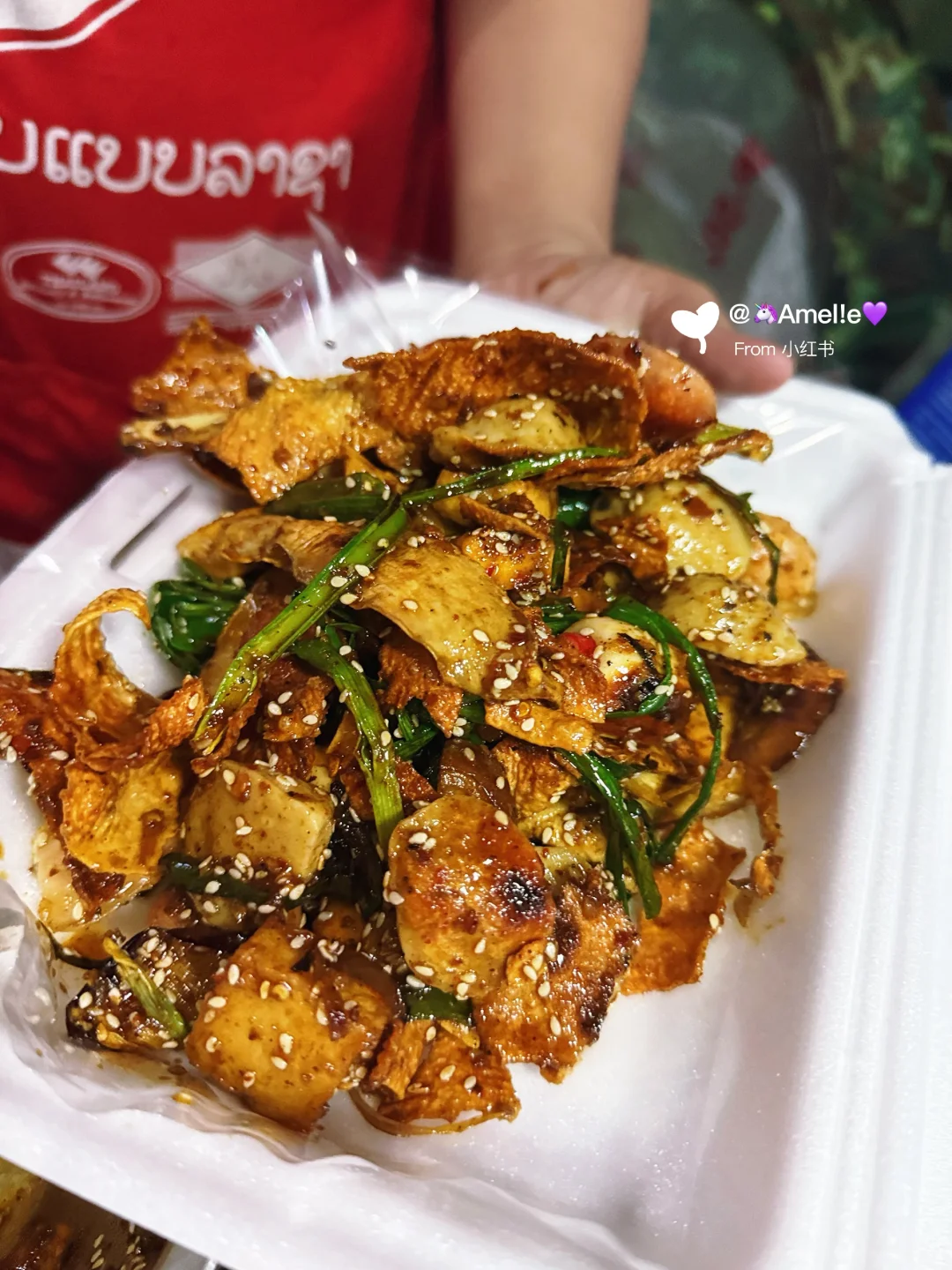 我的旅行搭子🥳