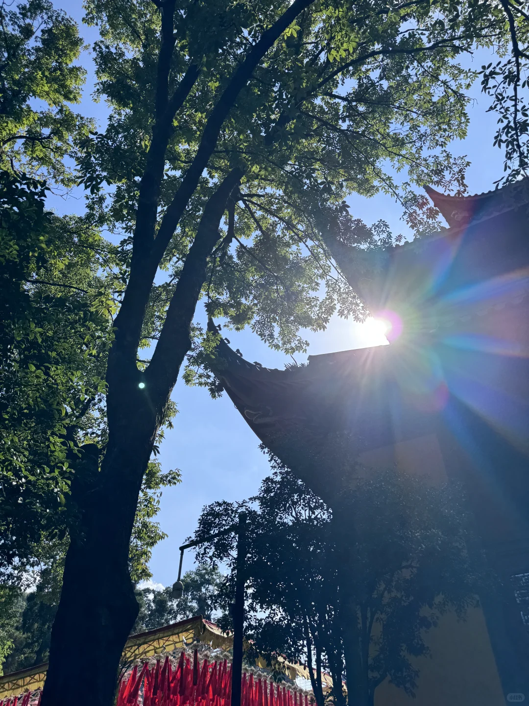 为了这1️⃣8️⃣张照片，特意去了一趟杭州…