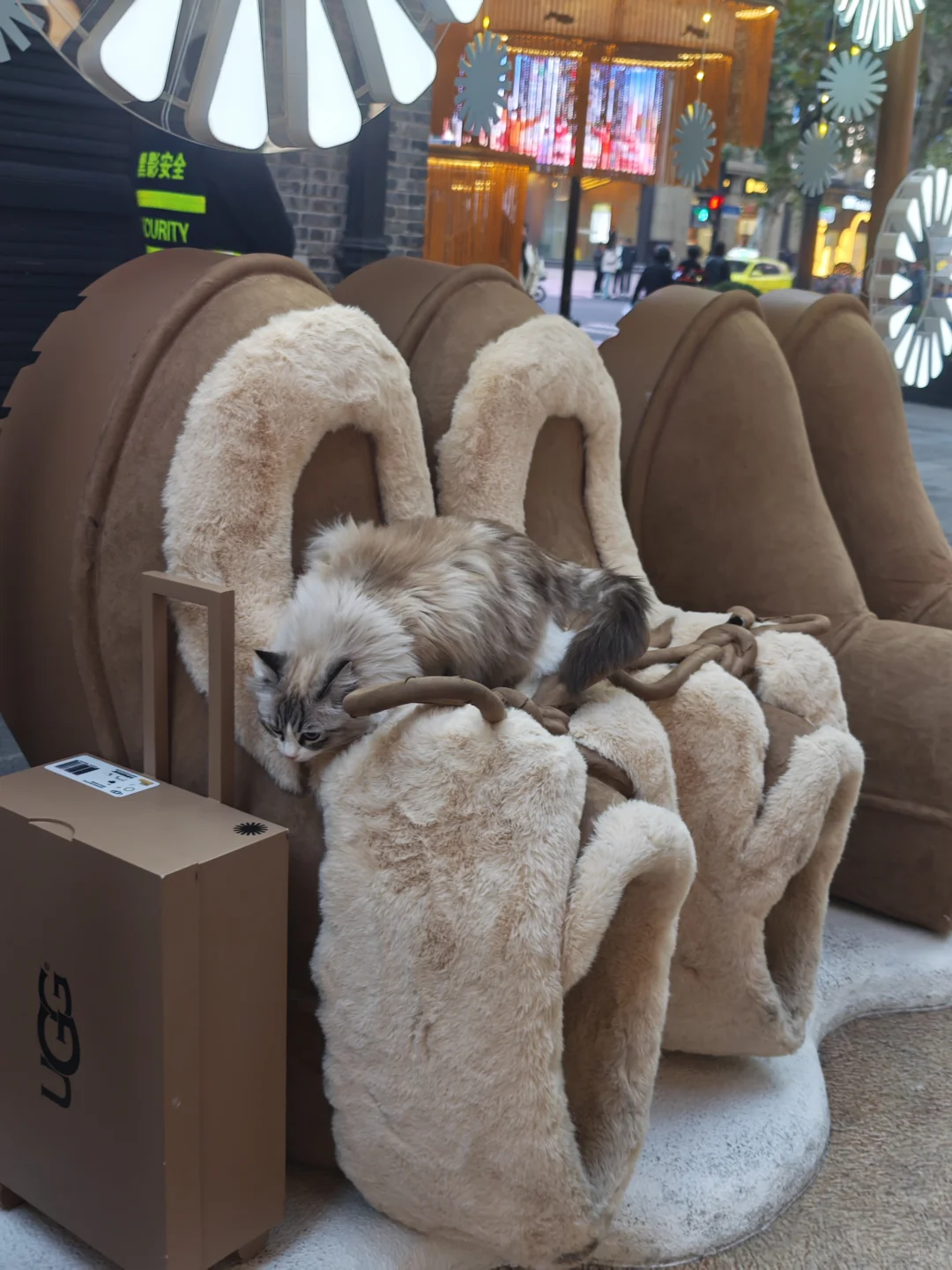 上海新天地citywalk｜石库门里的圣诞🎄