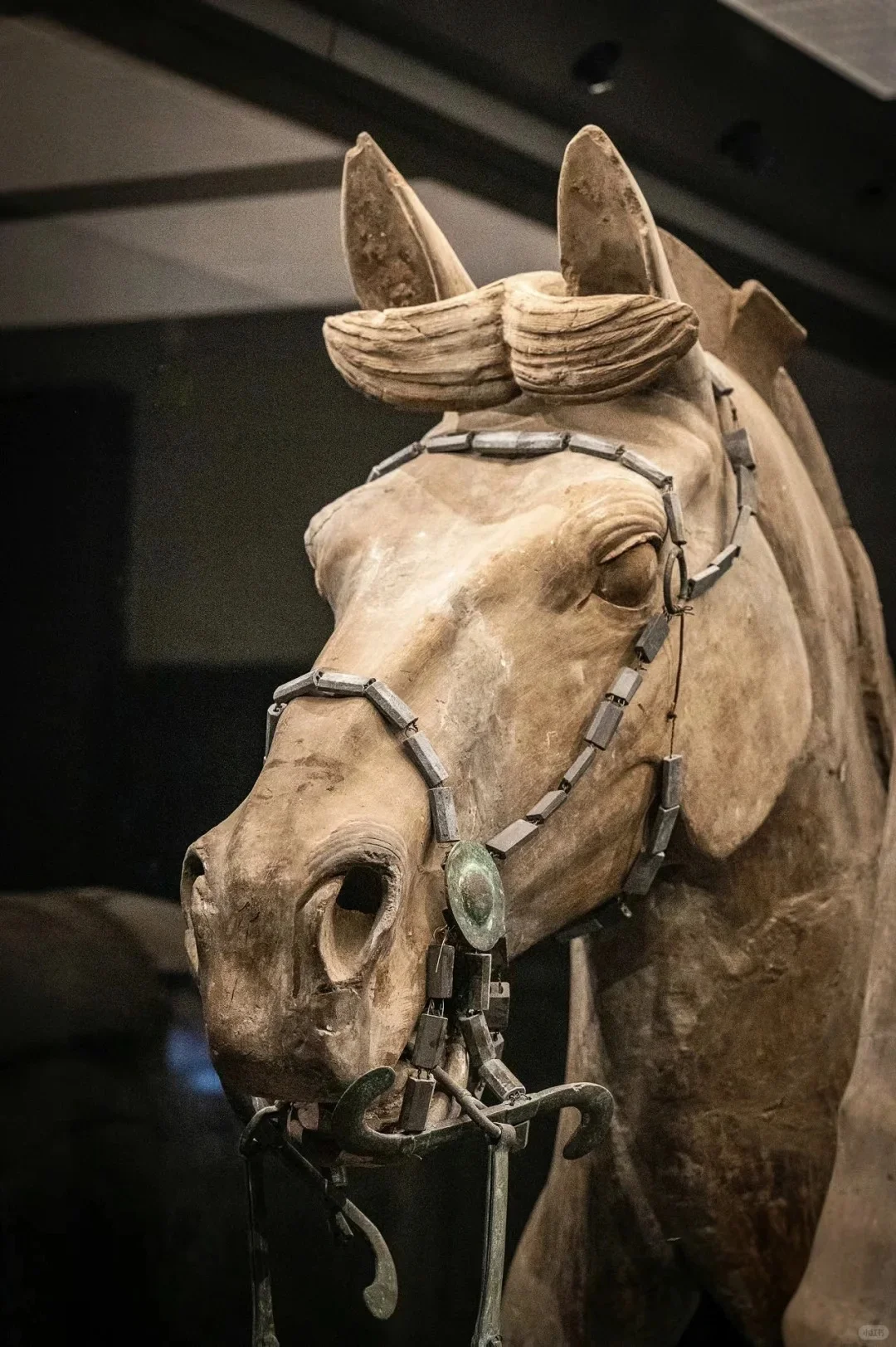 西安必冲！130 元兵马俑半日游🔥