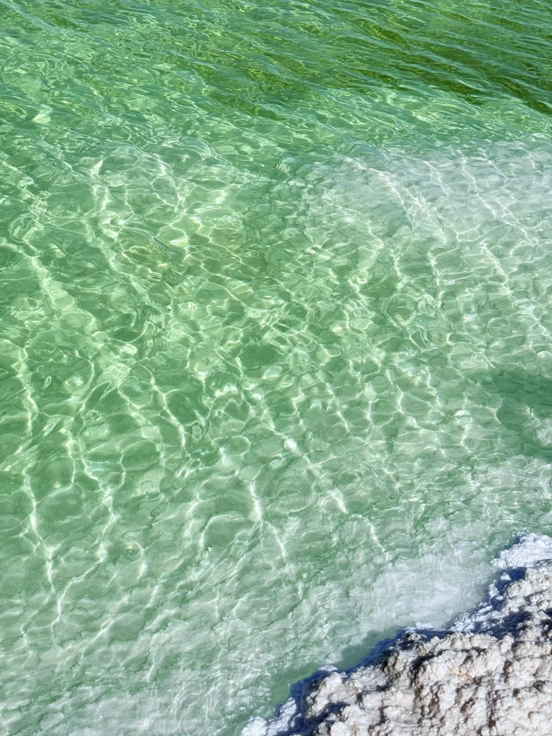 察尔汗盐湖 请你喝 冰萃青提 🧊