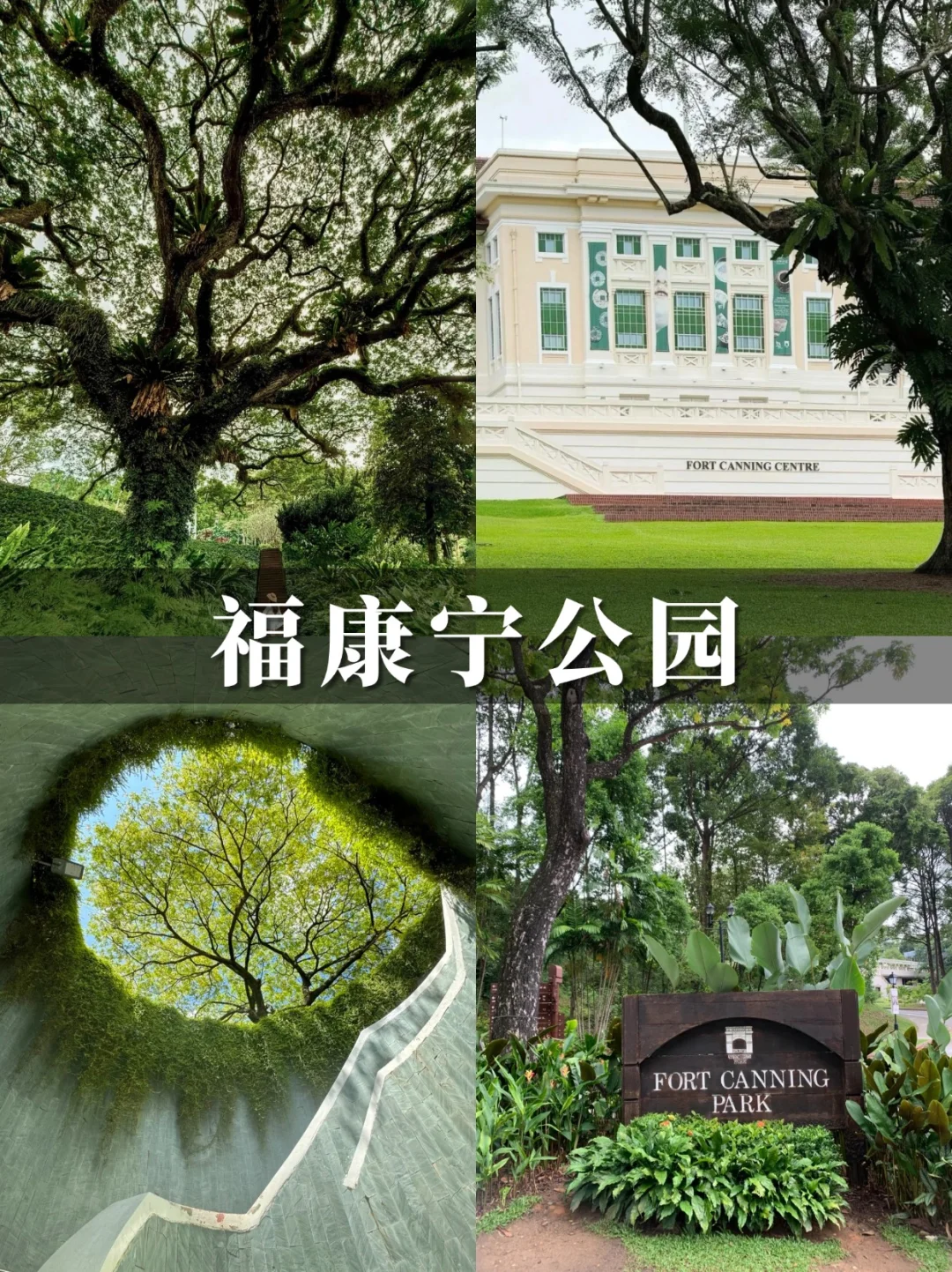 GO❗❗嗨玩不费妈必冲😍新加坡亲子5日游