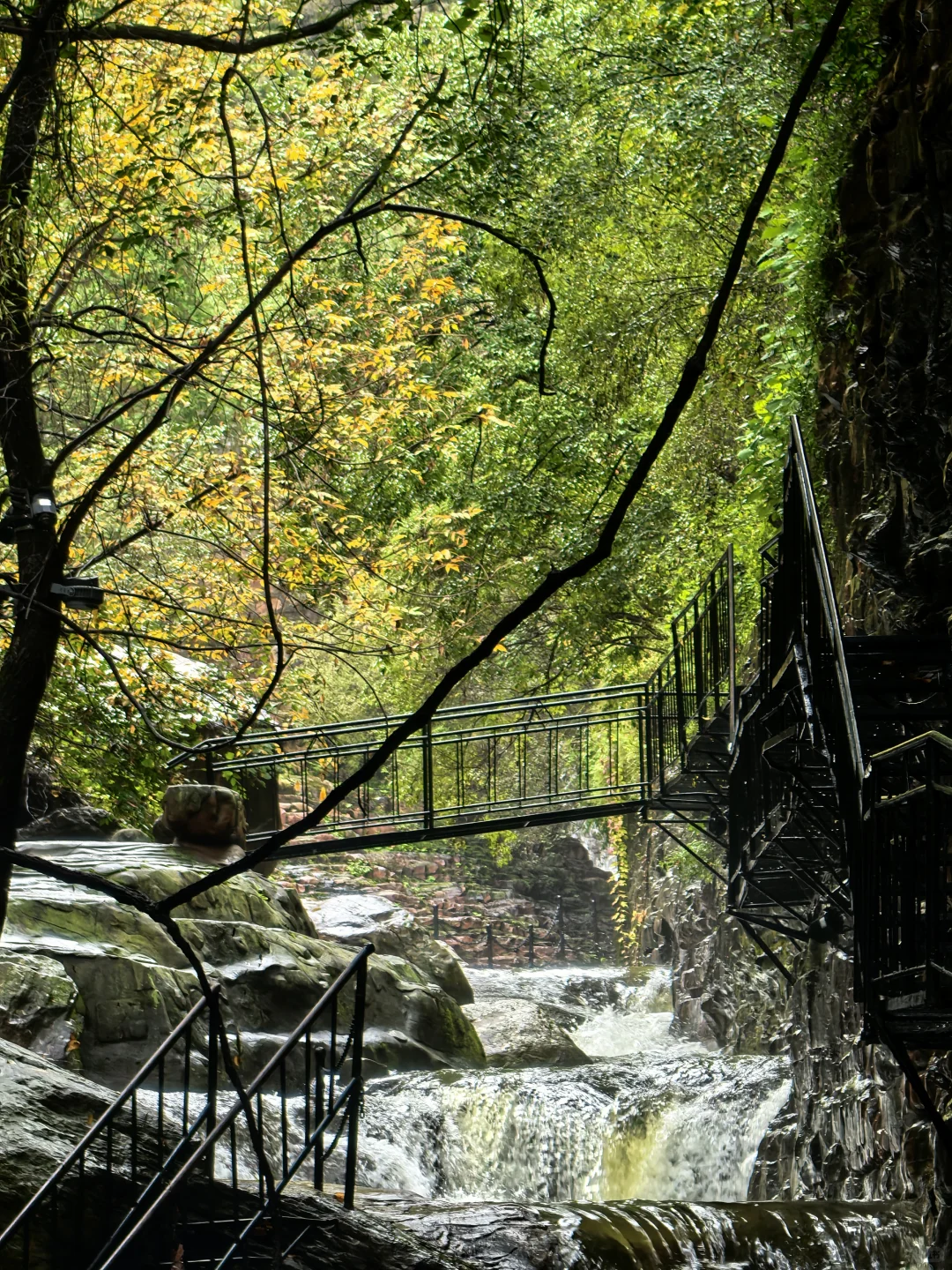 七步沟 | 雨后云雾是最好的滤镜