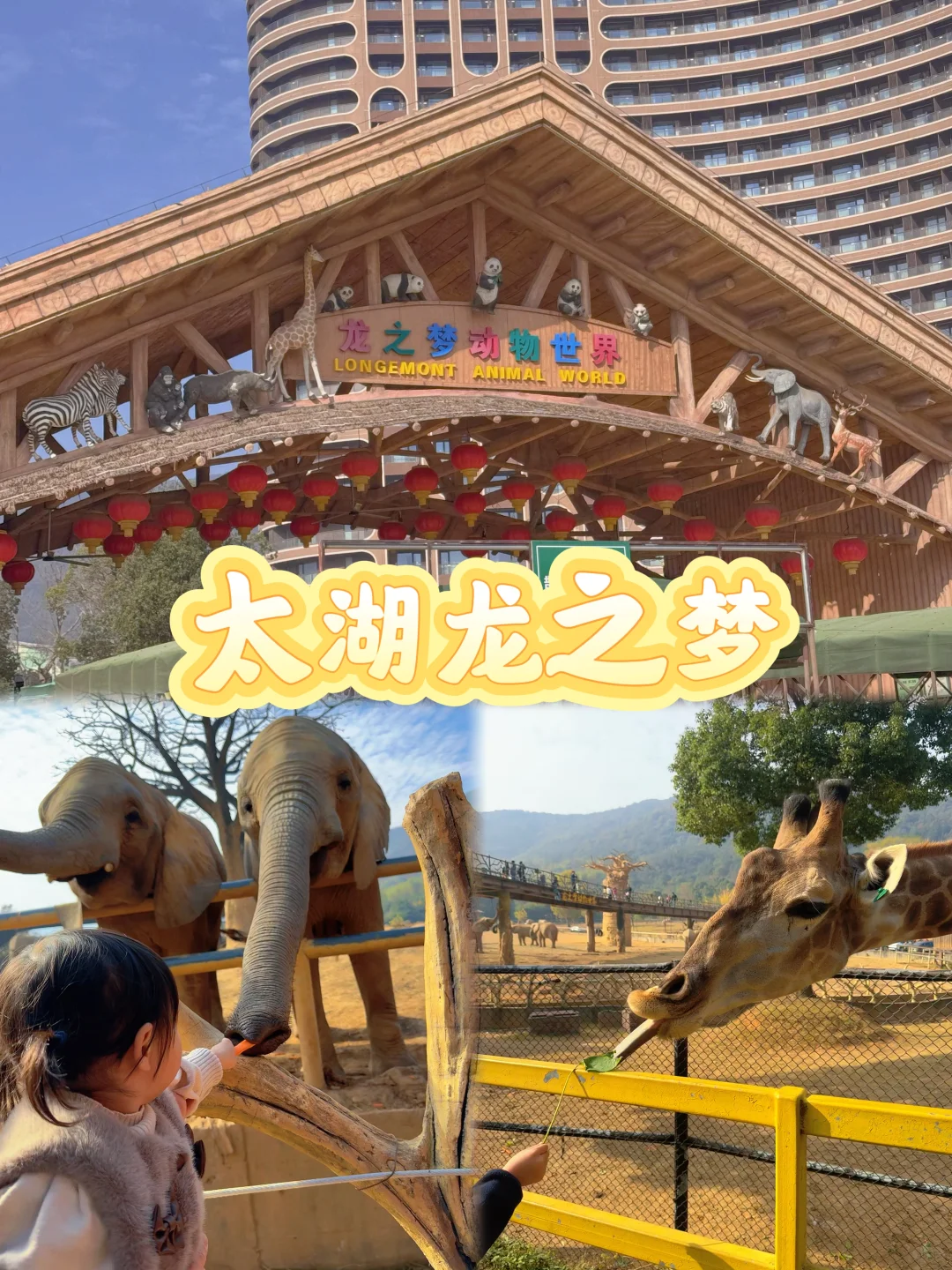 太湖龙之梦带娃瞎玩攻略!