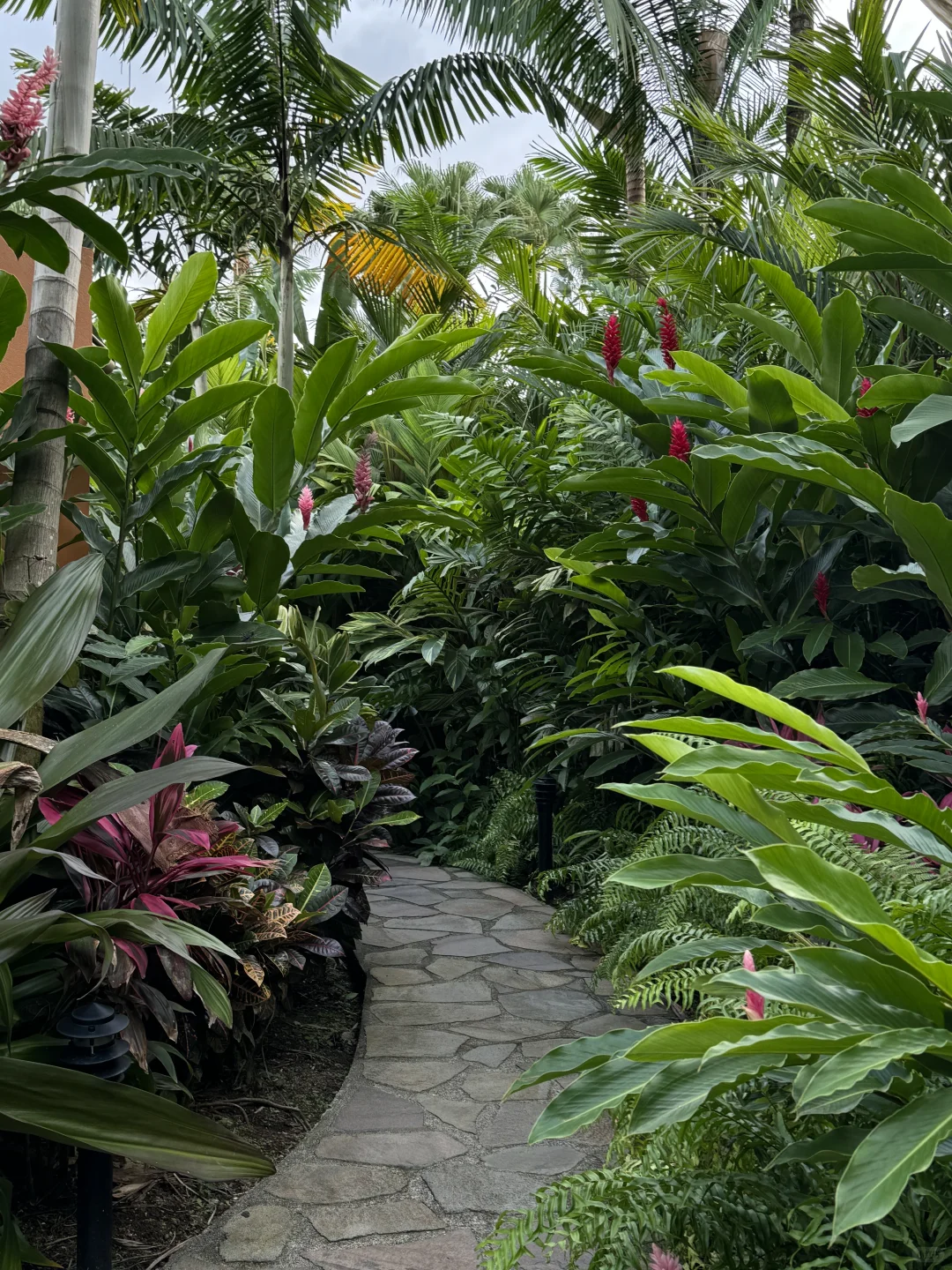 在哥斯达黎加住进了热带雨林是什么感受！