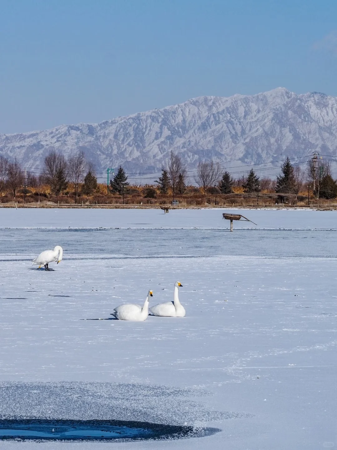 冬天去过敦煌后,才发现夏天去的真的血亏❗