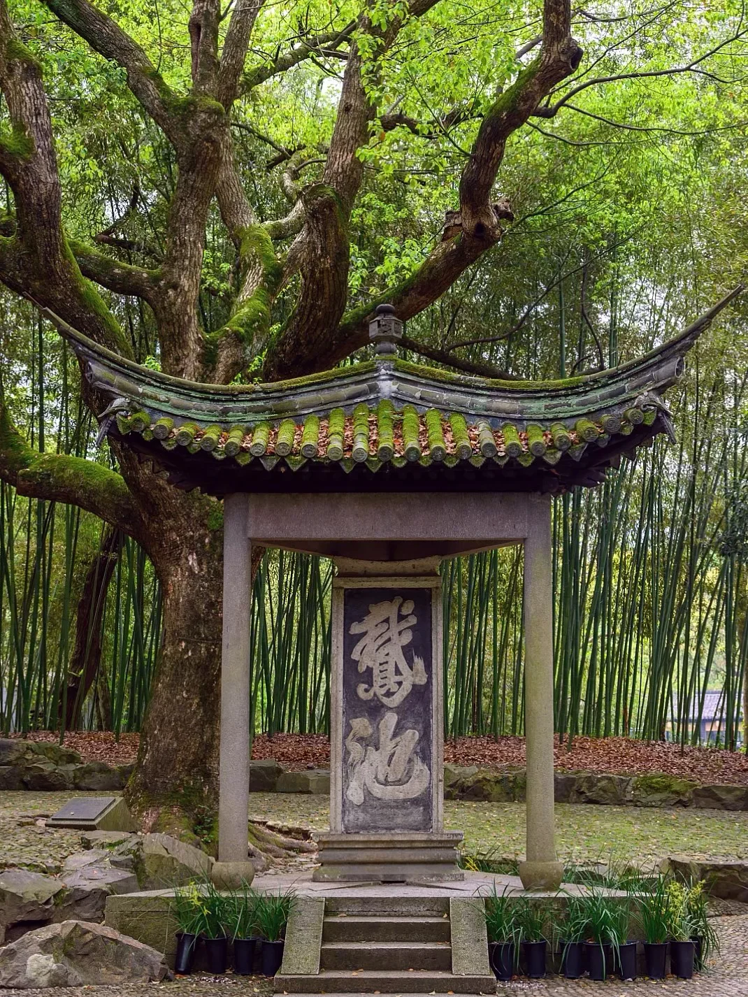 绍兴2天游超全攻略,这条路线直接抄!