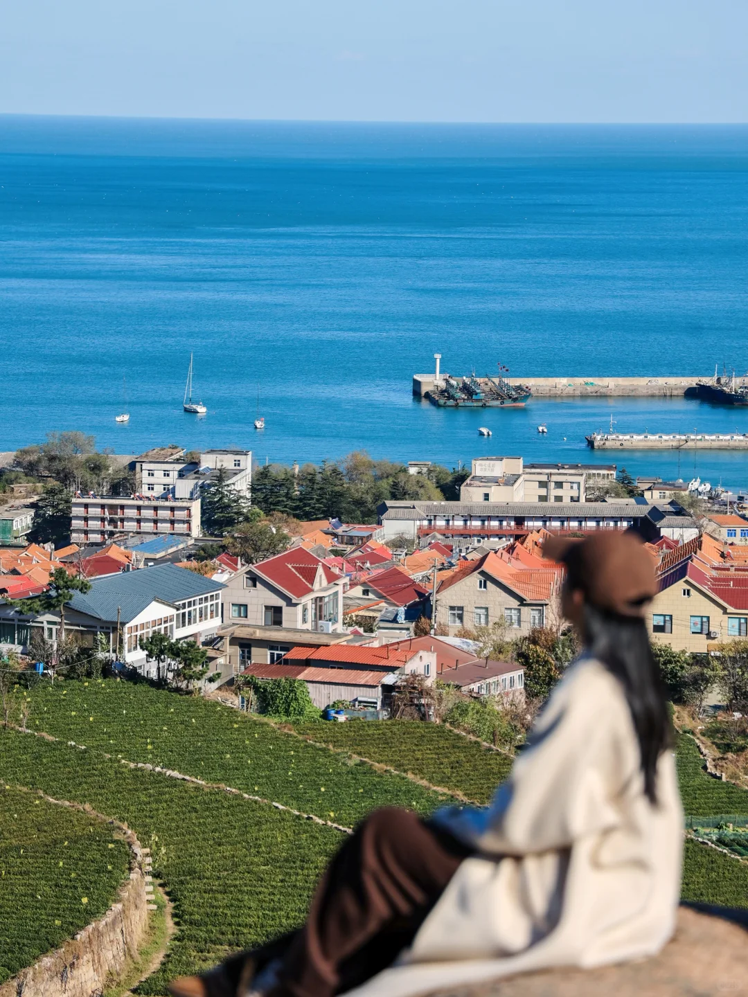 人生建议:去青岛一定要坐次1元环海公交……