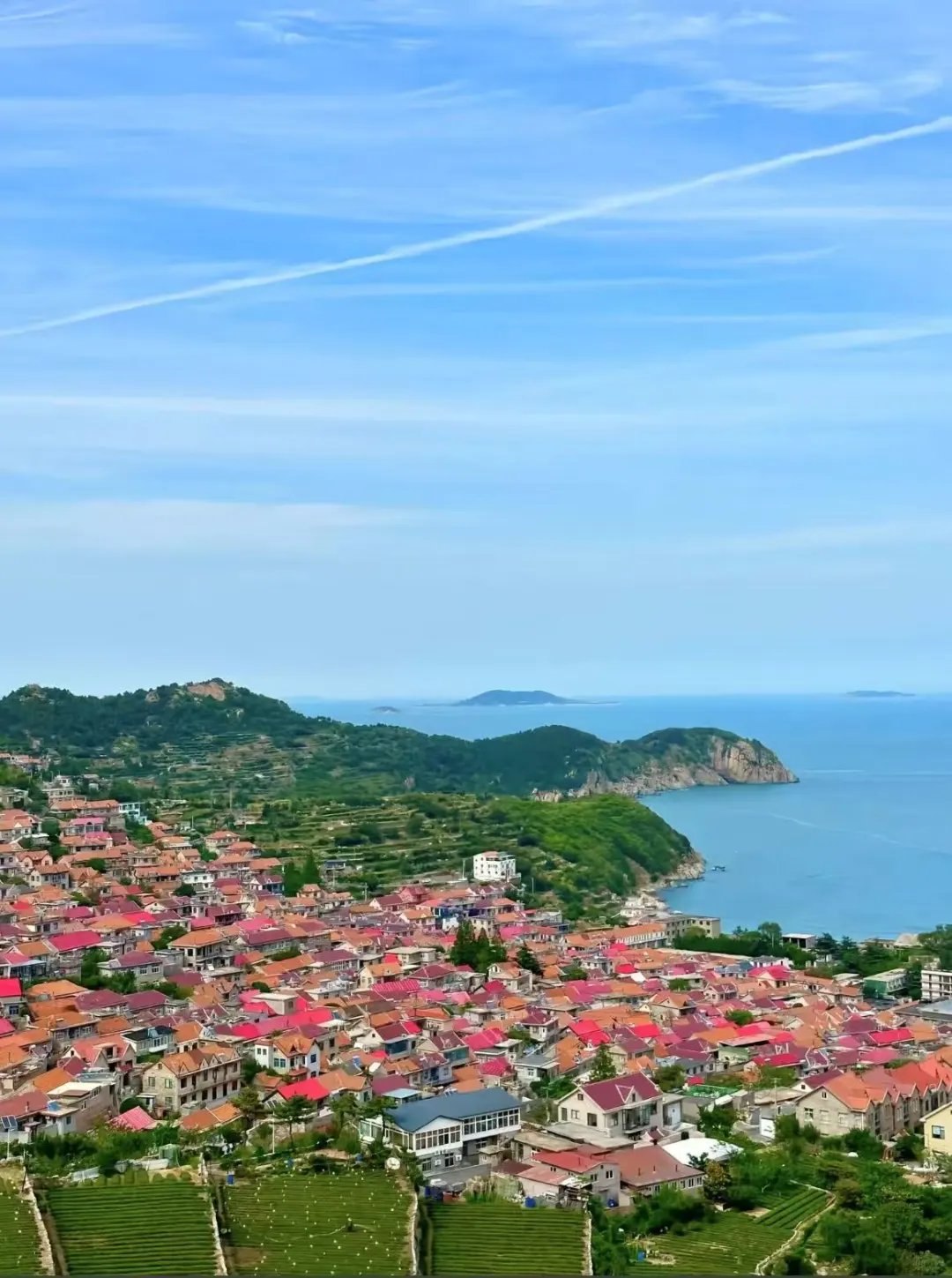 青岛5A景区--海上仙山崂山一日游