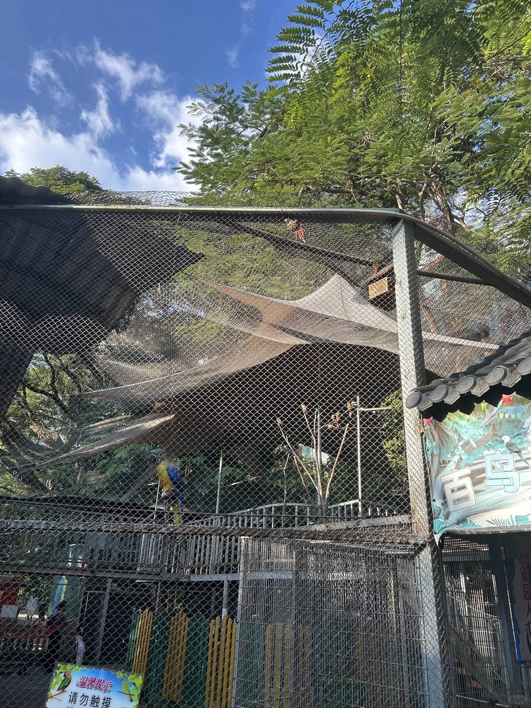 离职西双版纳篇