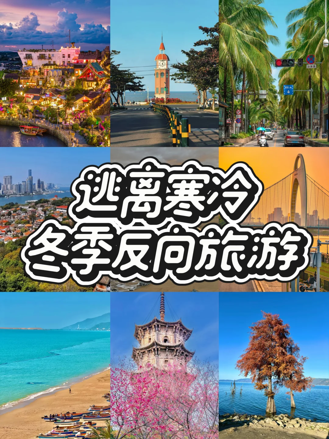 12-2月逃离寒冷❄️冬季反向旅游攻略来啦🙌🏻