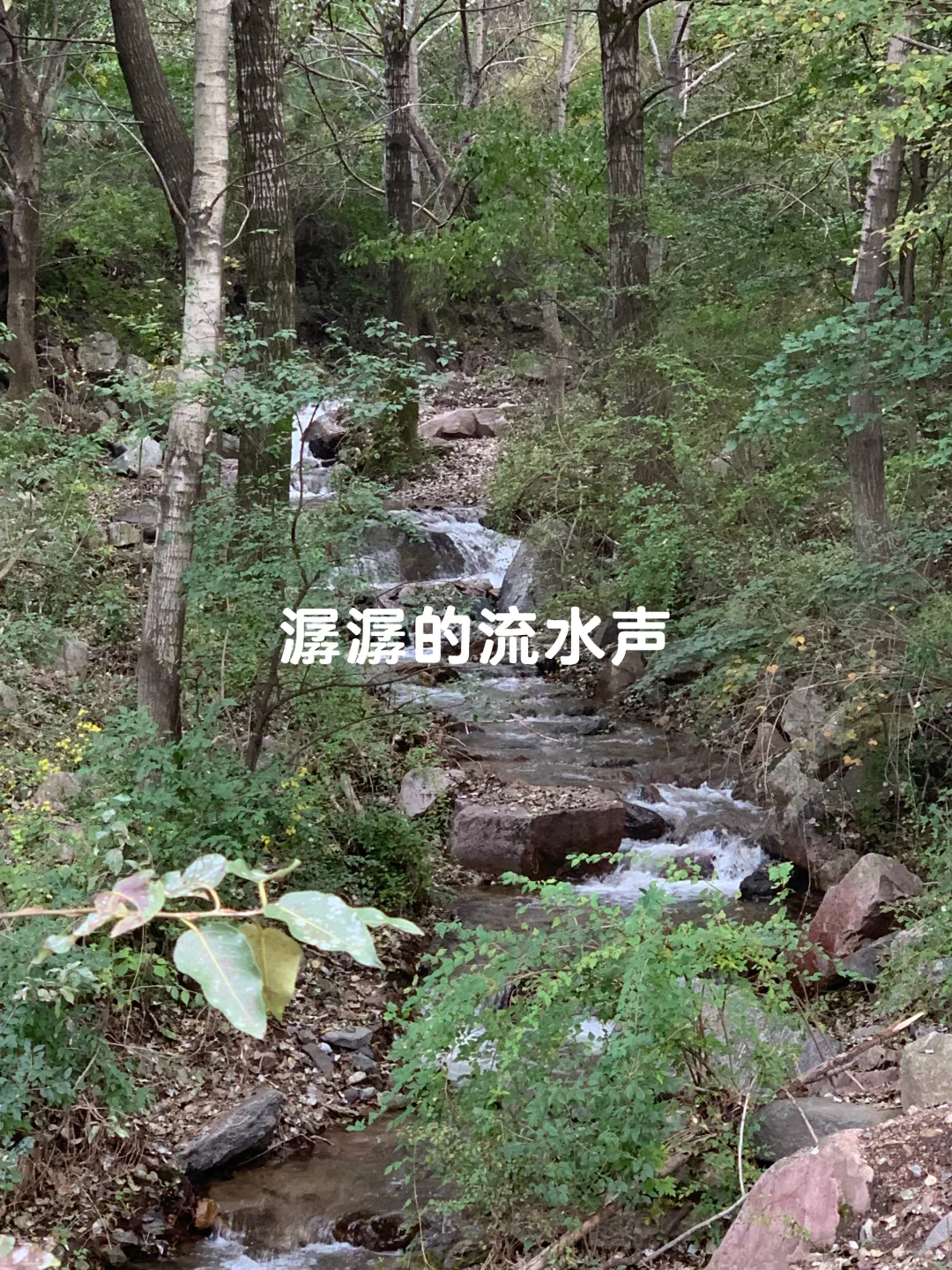 避开人潮！山西 “小阿勒泰” 人少景美🌲