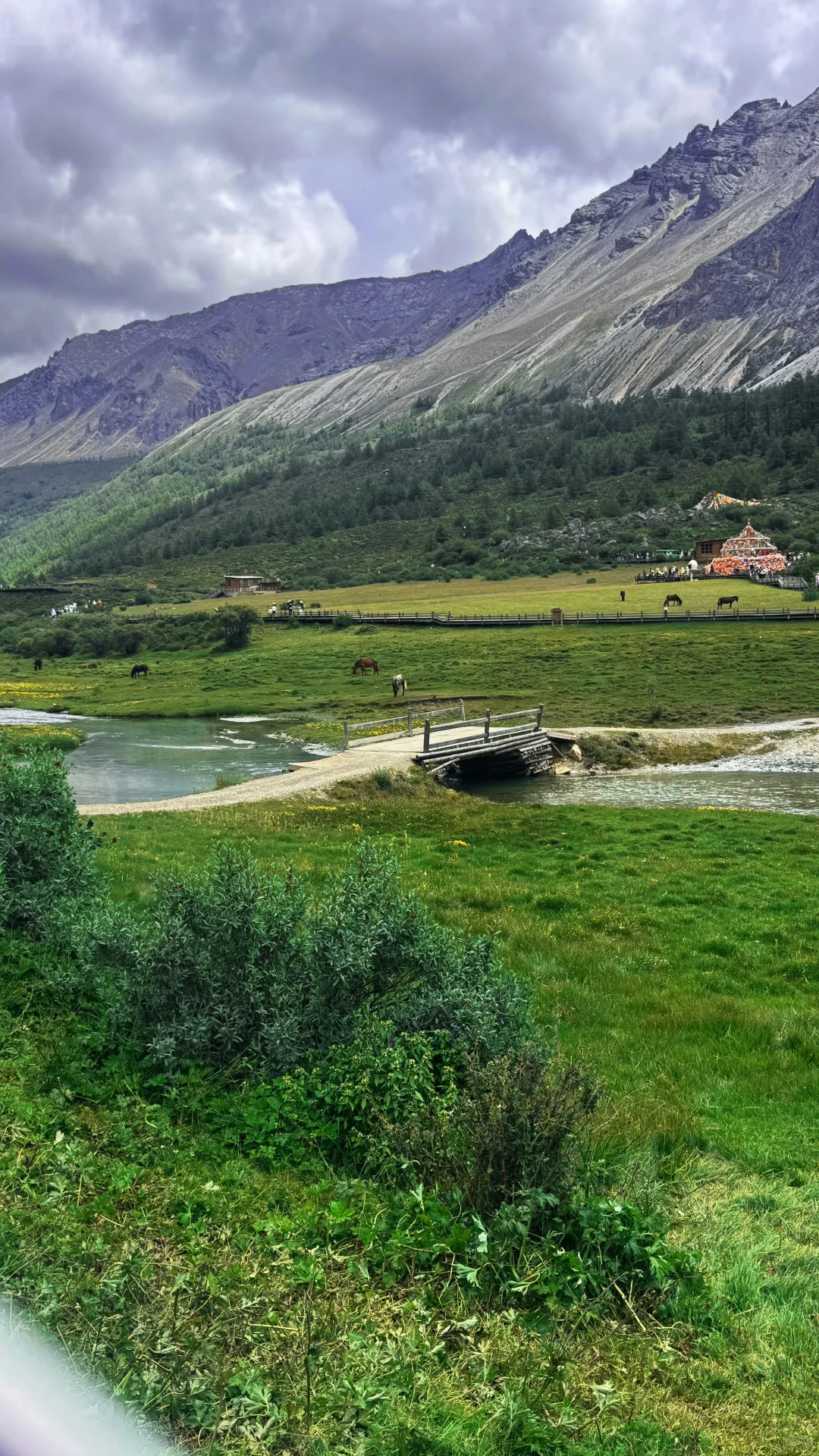 川西在我这里一直是top1的级别