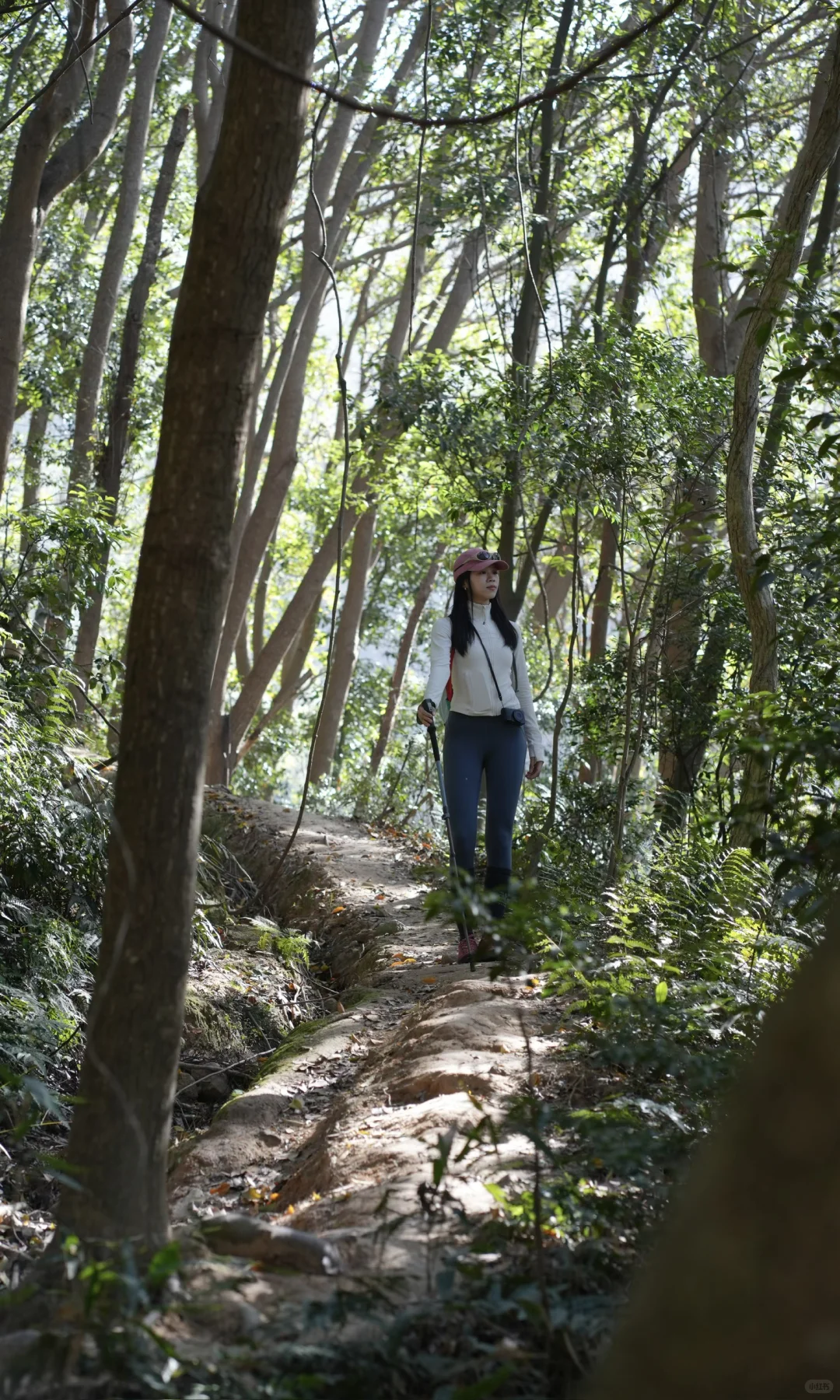 东钱湖福泉山大环线 去晚了