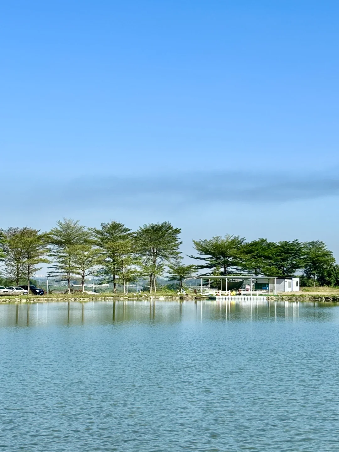 自由的风🏞️🌳🍃