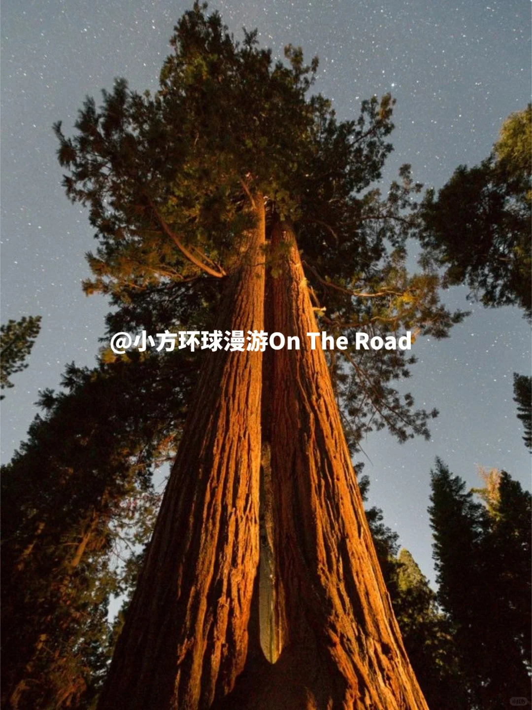 旧金山旅游🌈把城海火山都玩遍!照抄不谢