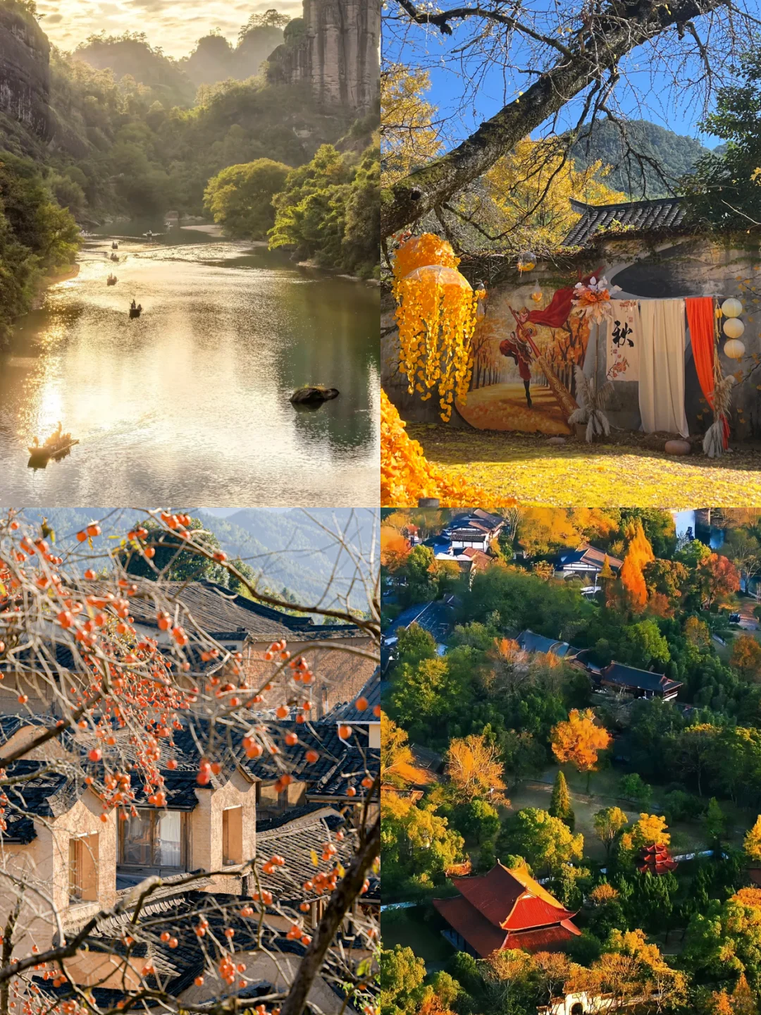 12➕1月福建怎么玩？一图秒懂🗺️