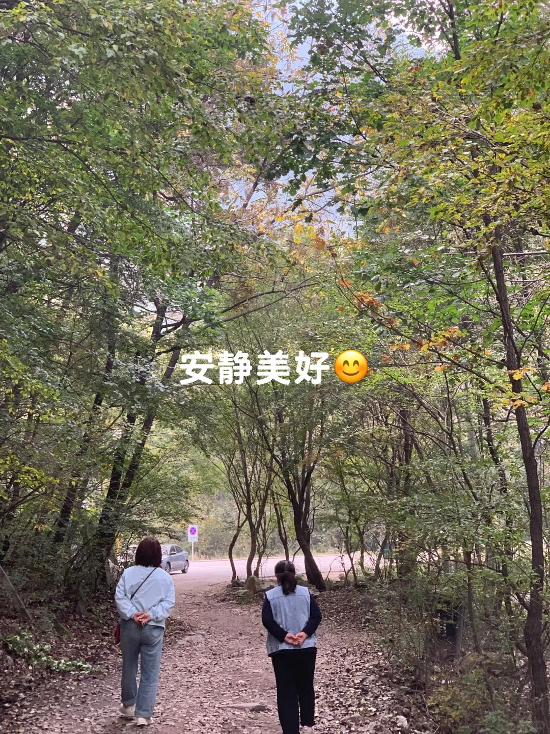 避开人潮！山西 “小阿勒泰” 人少景美🌲