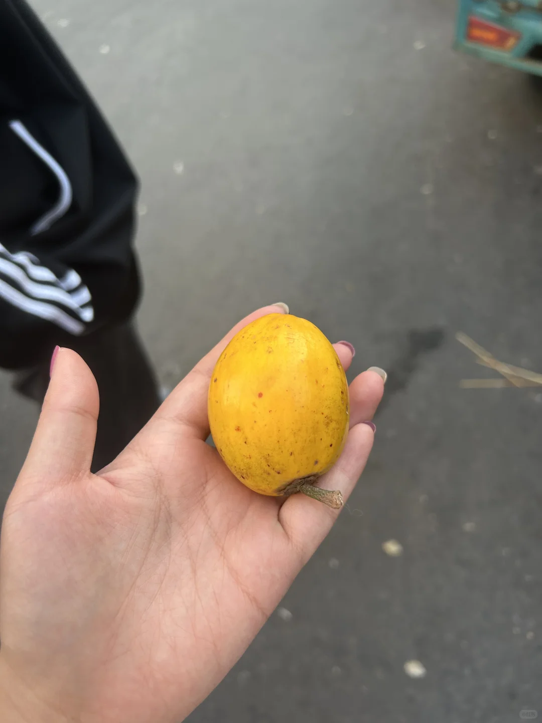 离职西双版纳篇