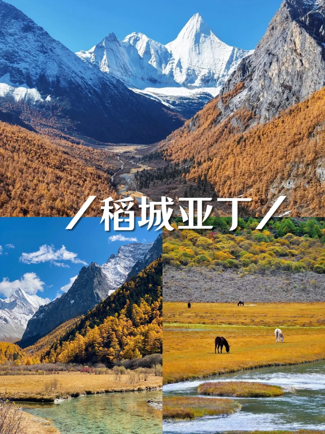 11-12月去川西，稻城亚丁+四姑娘山5天环线