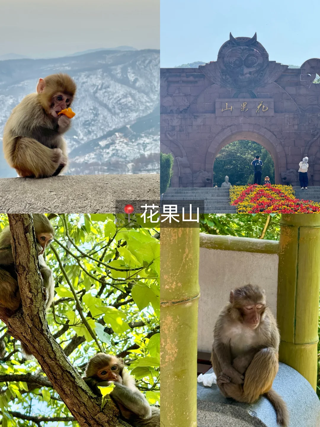 12月来连云港这样玩！！！