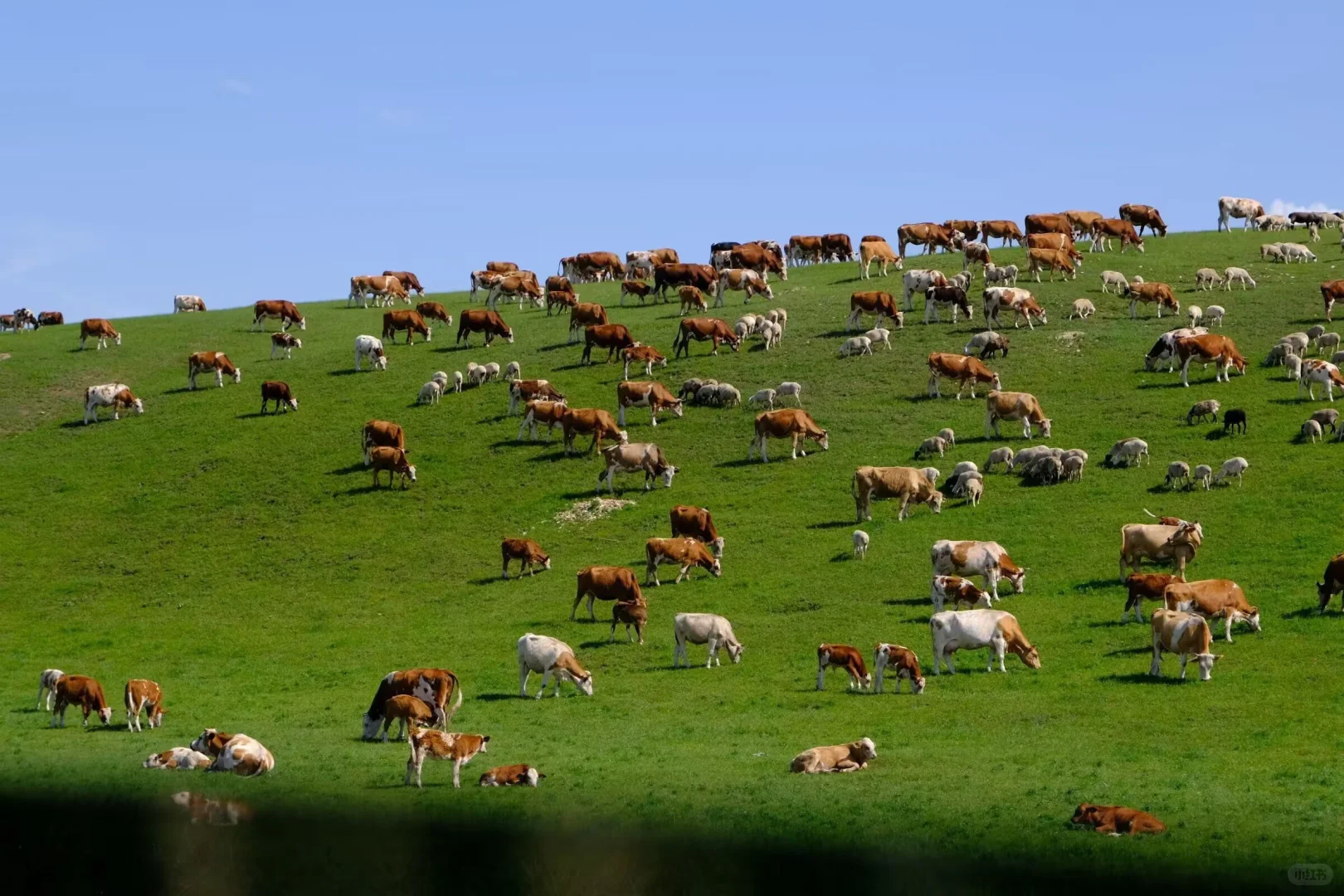 漠河到北极村旅游接待价格热情诚信