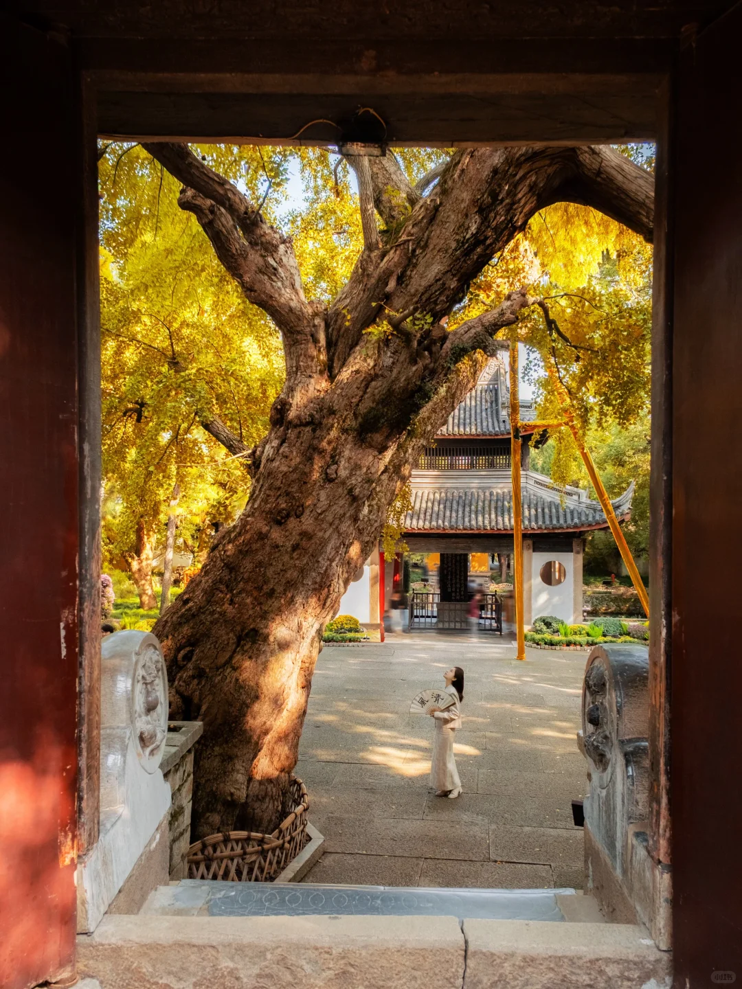 我以为苏州的秋天够美了,直到我来了无锡